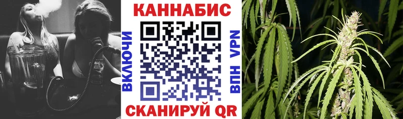 Шишки марихуана Bruce Banner  купить   Новотитаровская 